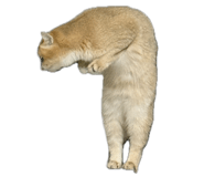 858589089