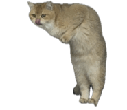 858589090