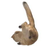 858589094