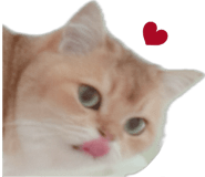 858589095