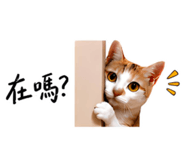 858589547