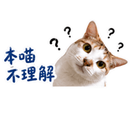 858589557