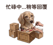 858589733