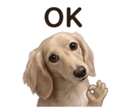 858589739