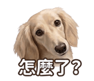 858589758