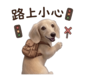 858589762
