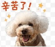 858592999