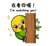 858593467