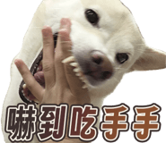 858596803