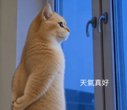 858597205
