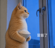 858597208