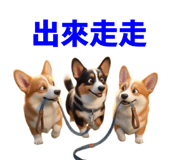858597801