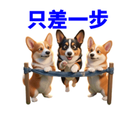 858597802