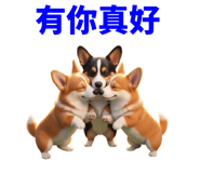 858597803