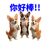 858597805