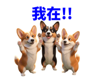 858597806