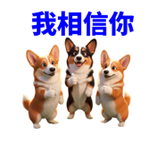858597807