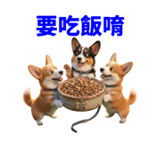 858597814