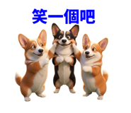 858597815
