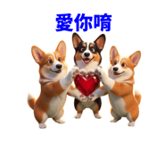 858597816