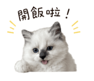 858599092