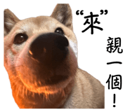 858600458