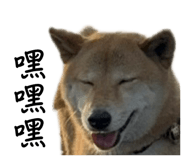 858600459