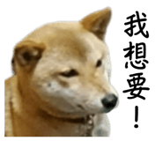 858600461