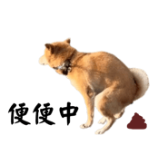 858600462