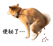 858600463