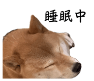 858600464