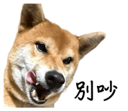 858600470