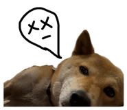 858600471