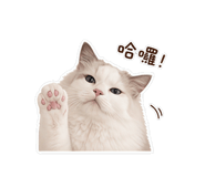 858600968
