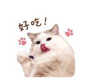 858600977