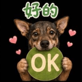 858603260