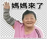 858606694