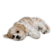858611060