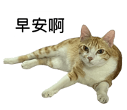 858611369