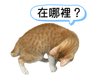 858611378