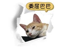 858611379