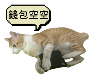 858611384