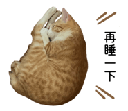 858611385