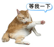 858611388