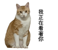 858611390