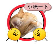 858611394