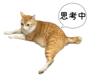 858611399