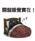 858611448