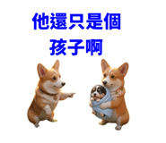 858617988