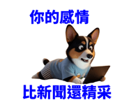 858617991